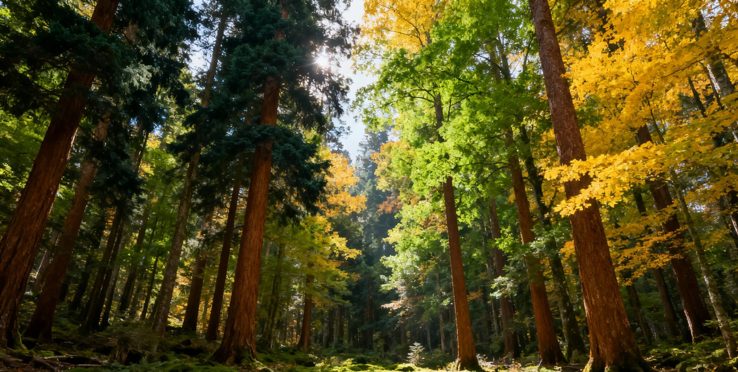 Enhance Your Travel Experience with Memorable Tips